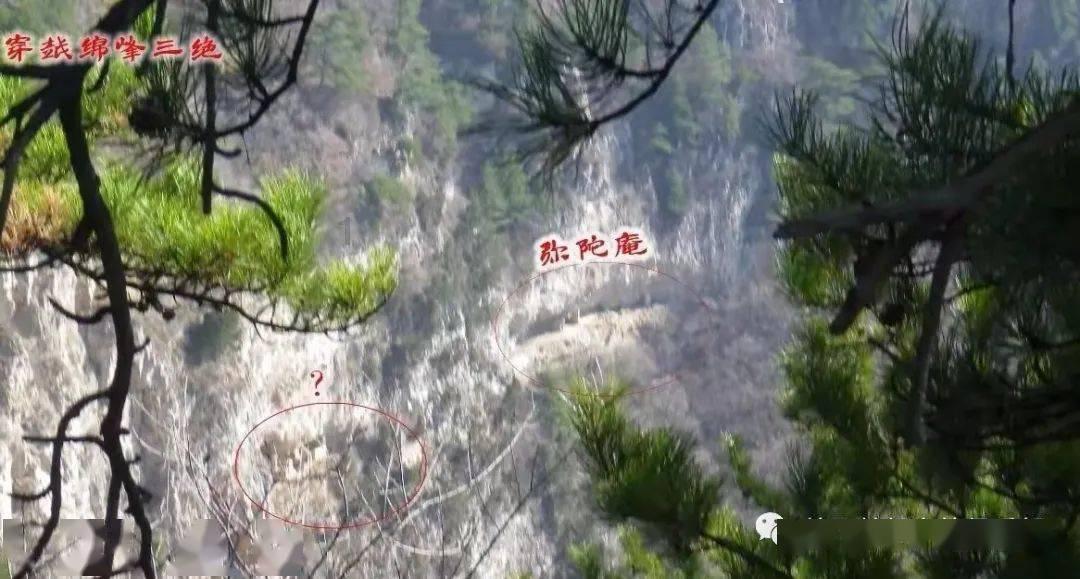 民主之声响彻六盘水之生态保护篇——以人大之力护佑青山常在绿水长流